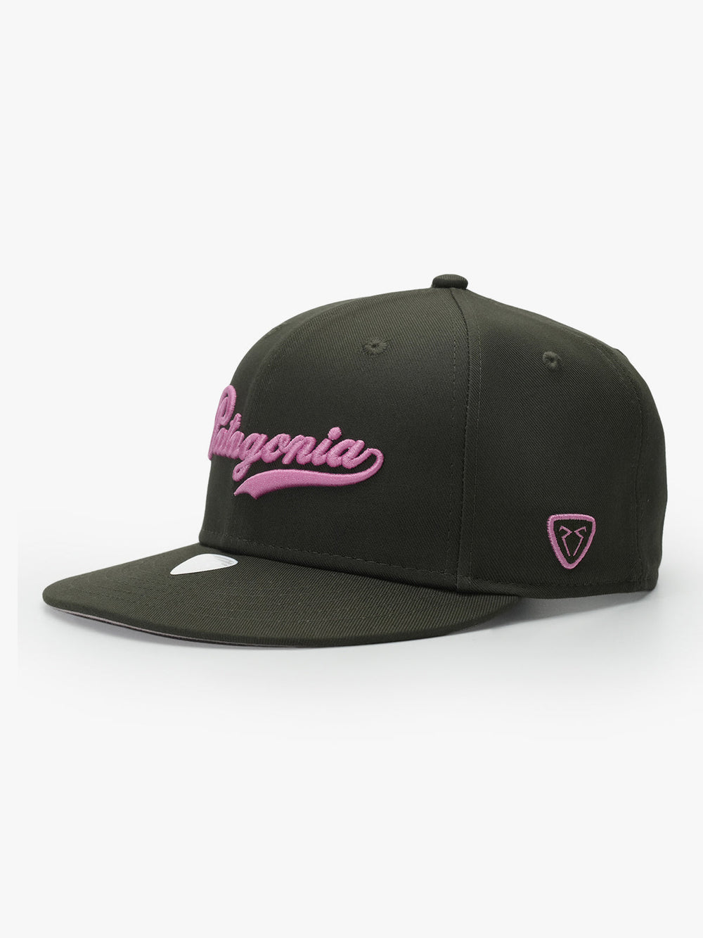 Patagonia Khaki Snapback Cap front view