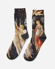 Primavera, 1477, Socks