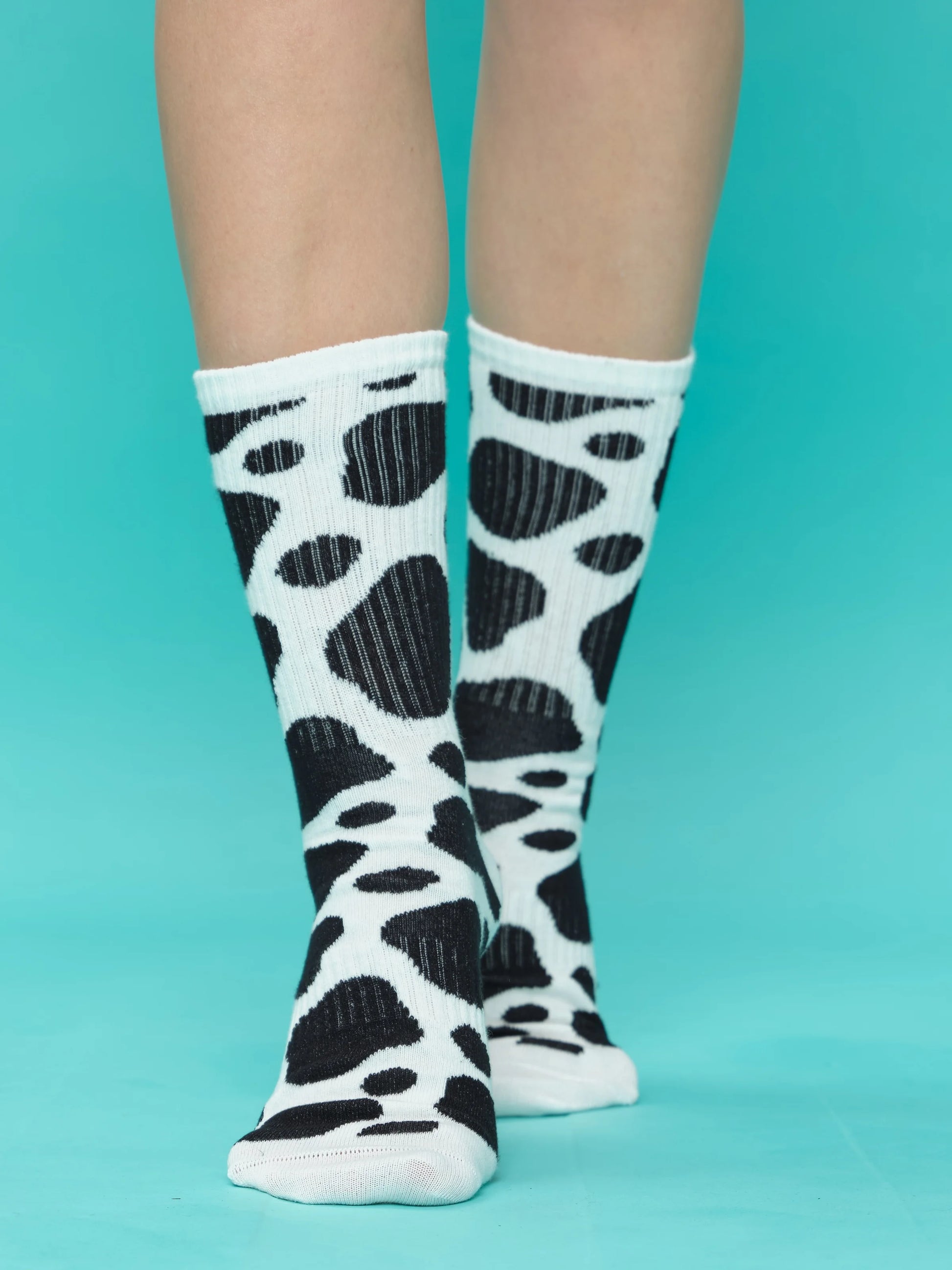 front view of cow socks