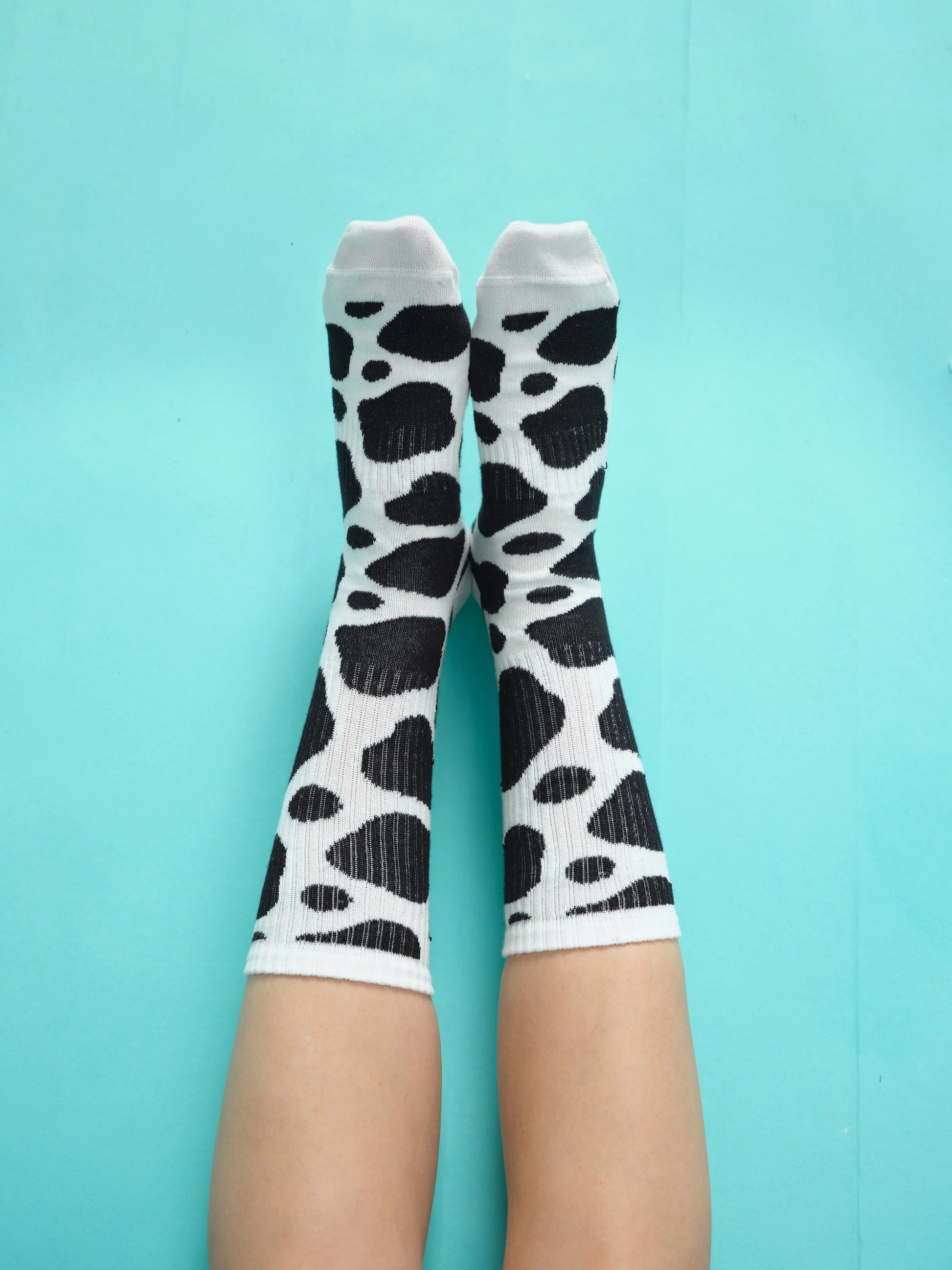 front view of cow socks