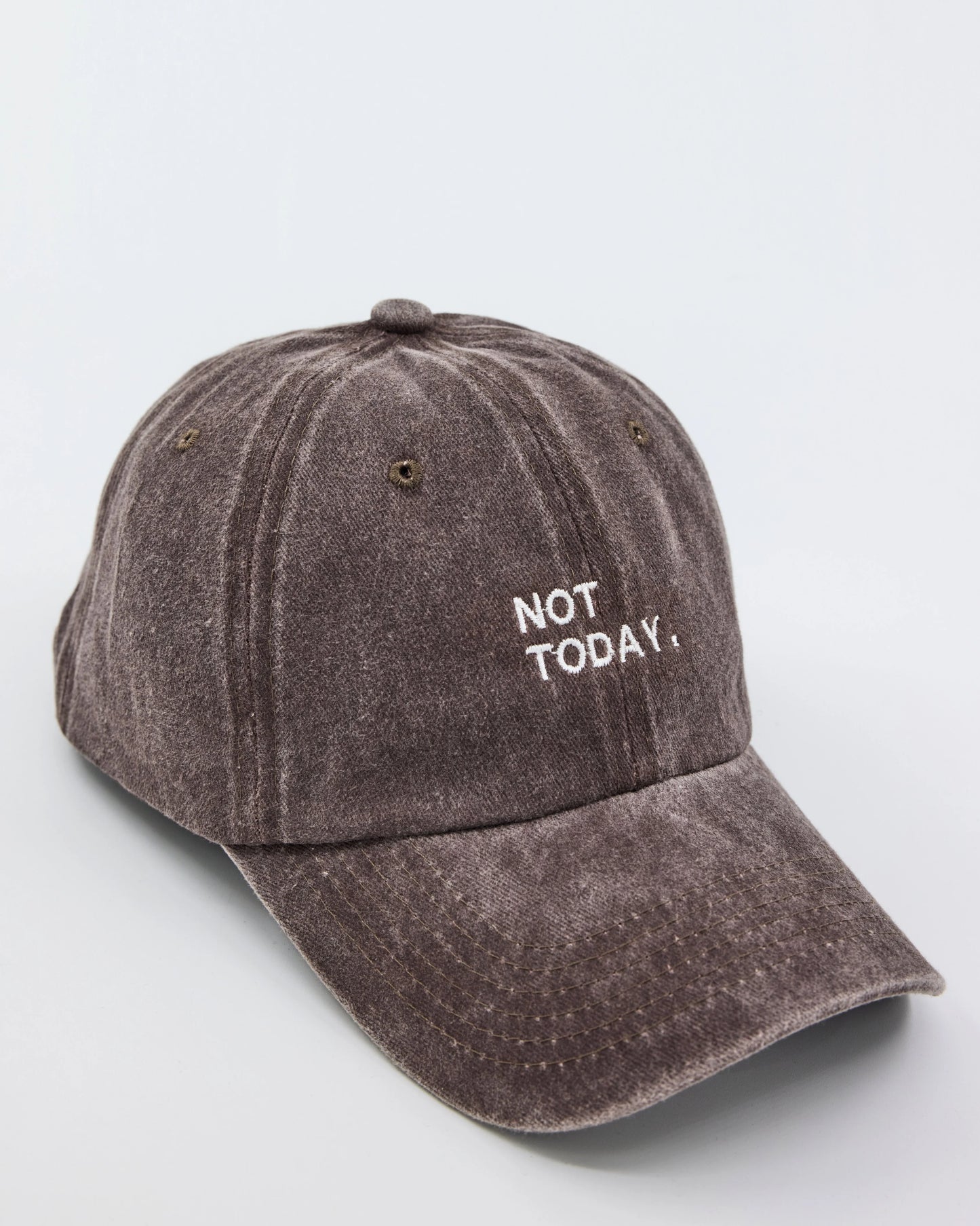 Not Today Brown Washed Cap