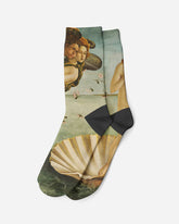 Birth of Venus, 1485, Socks