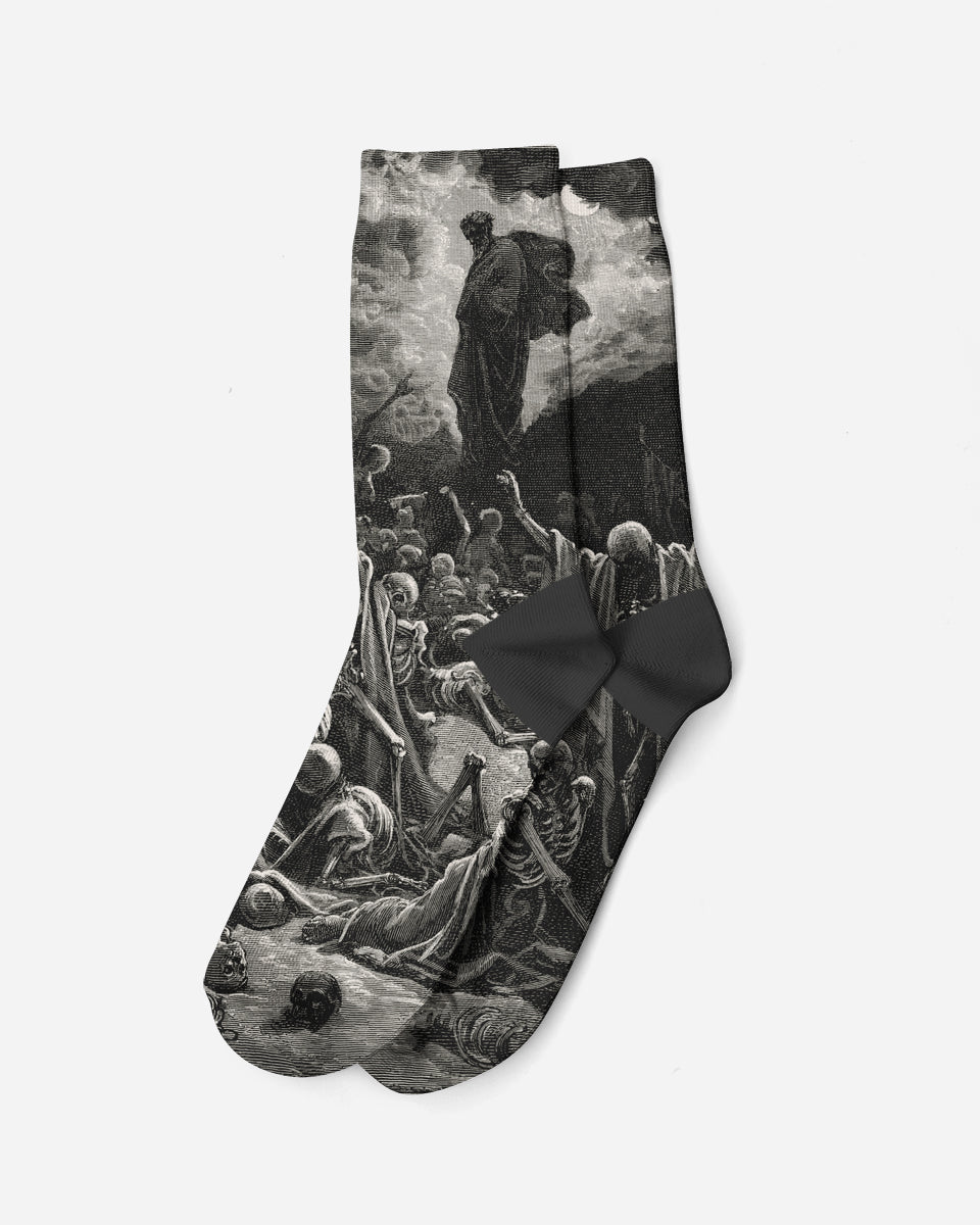 Vision of the Valley of Dry Bones, 1866, Socks