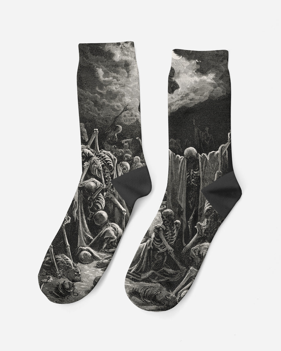 Vision of the Valley of Dry Bones, 1866, Socks