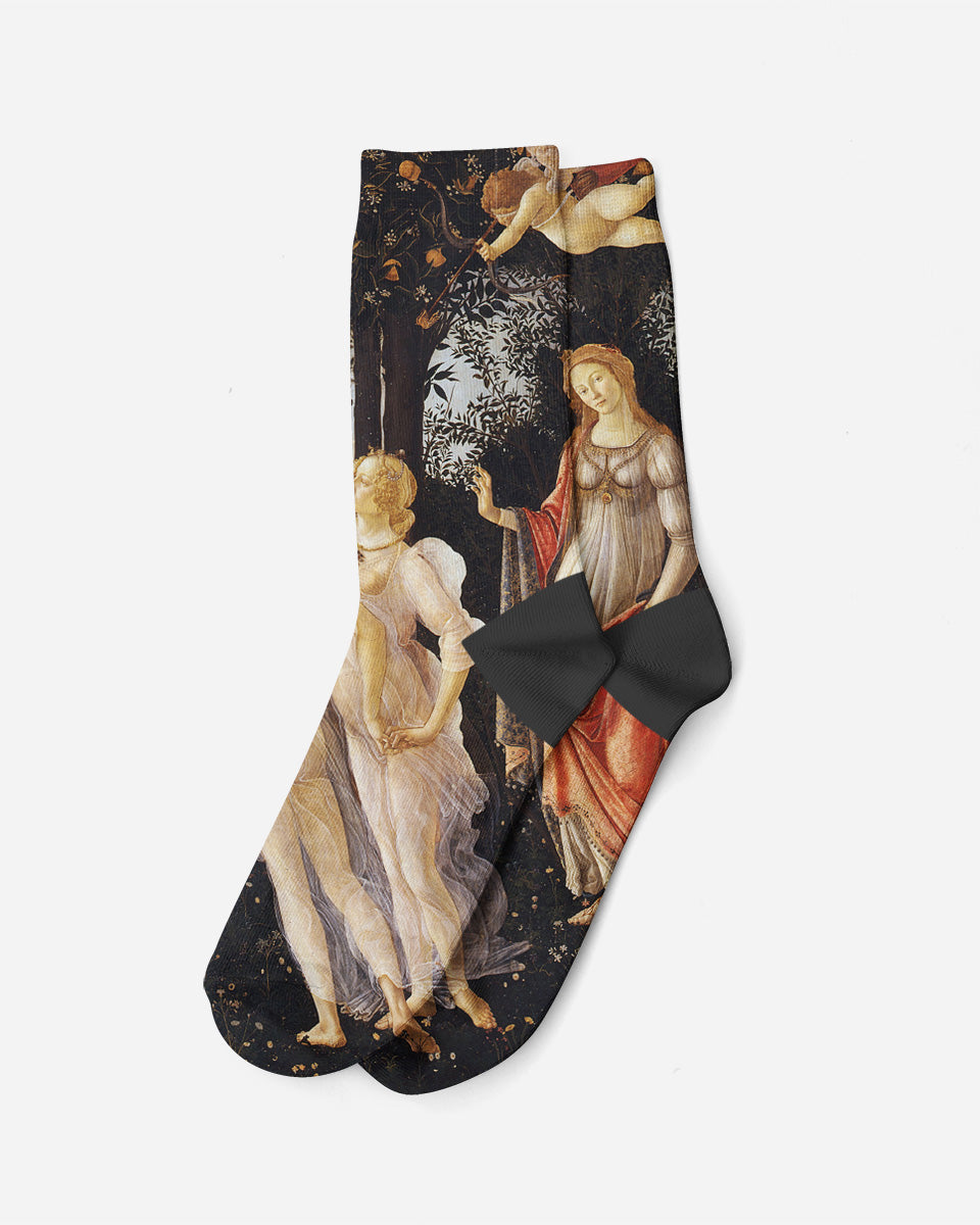 Primavera, 1477, Socks