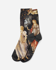 Primavera, 1477, Socks