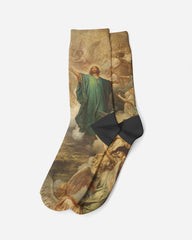 L'Ascension, 1879, Socks