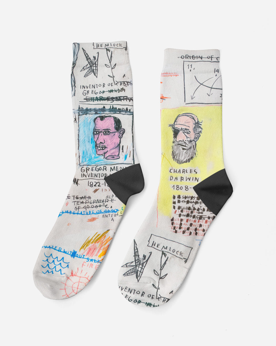 Charles Darwin, 1883, Socks