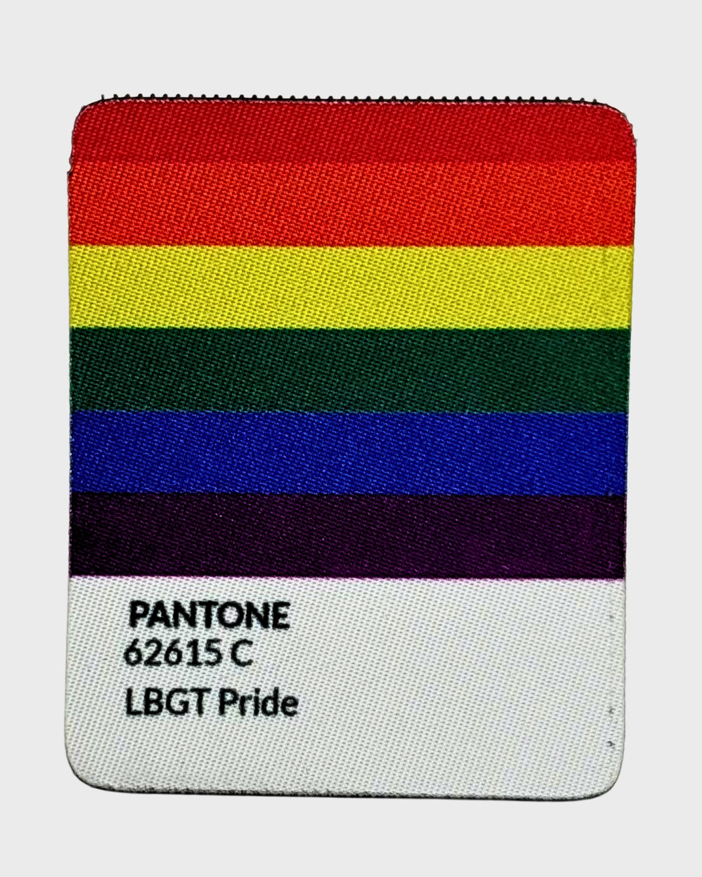 Pantone LGBTIQ+ Patch