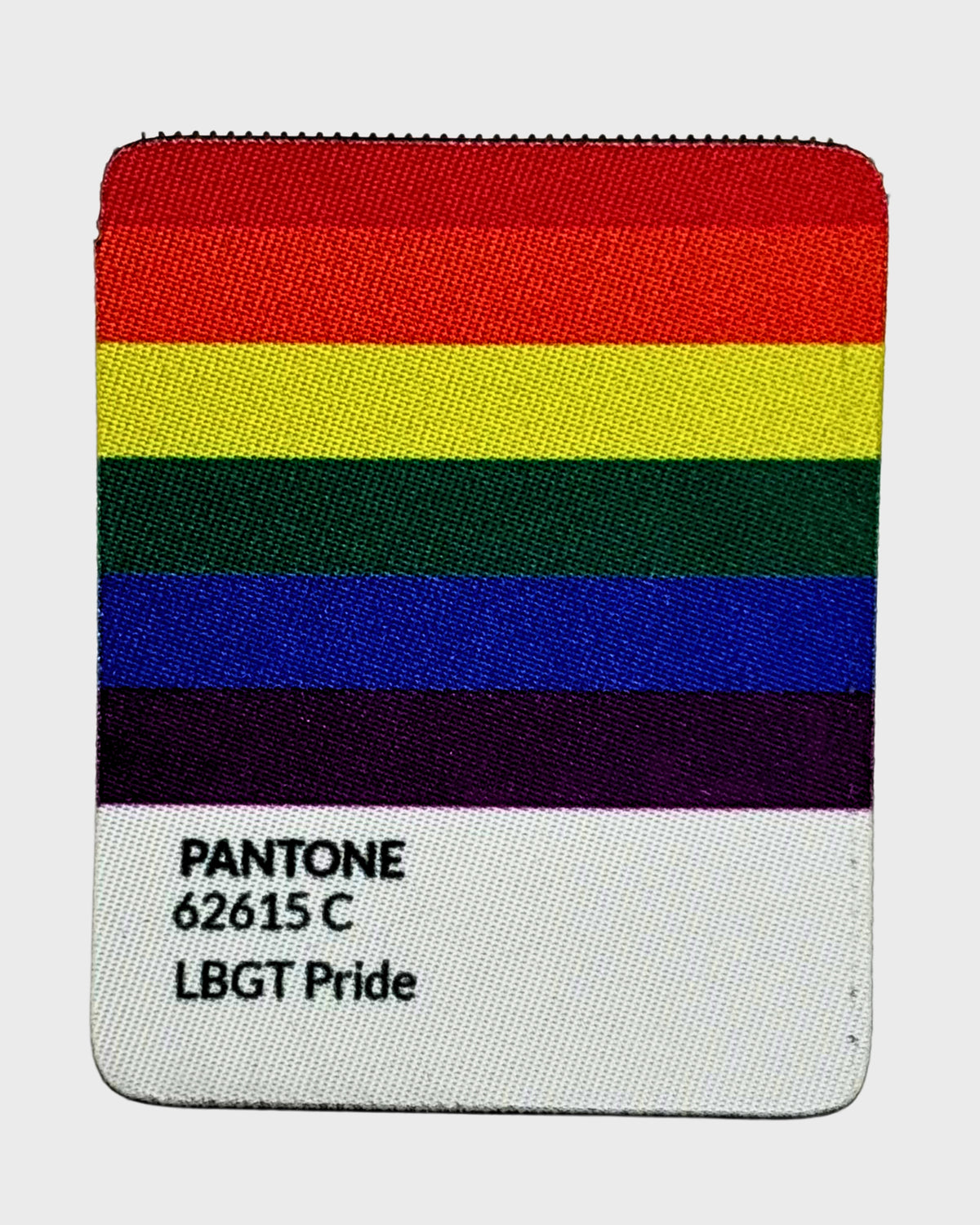 Pantone LGBTIQ+ Patch