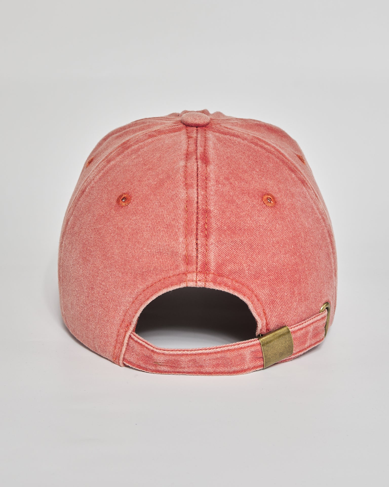 Low Energy Club coral washed cap - back view