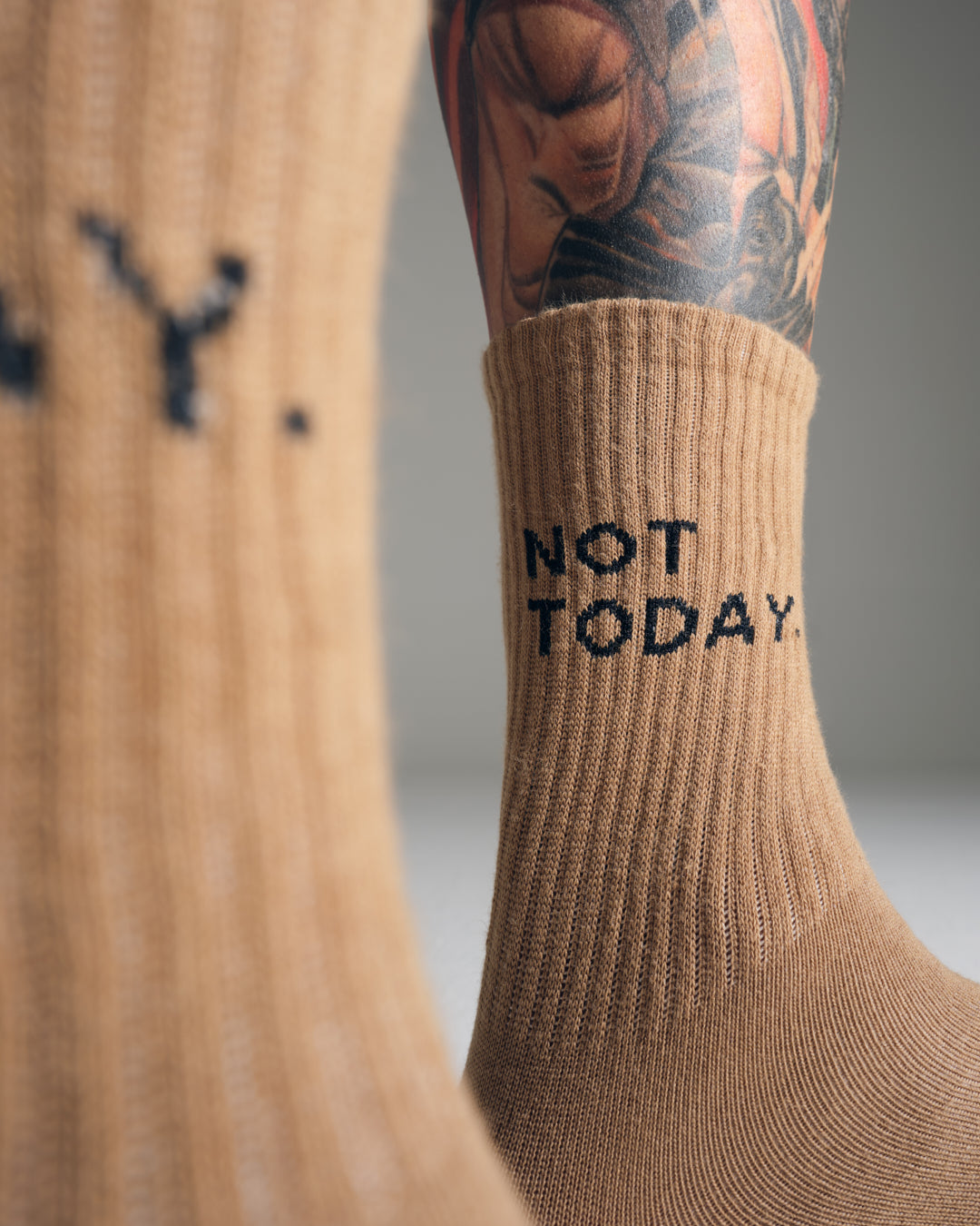 Not Today Brown Socks