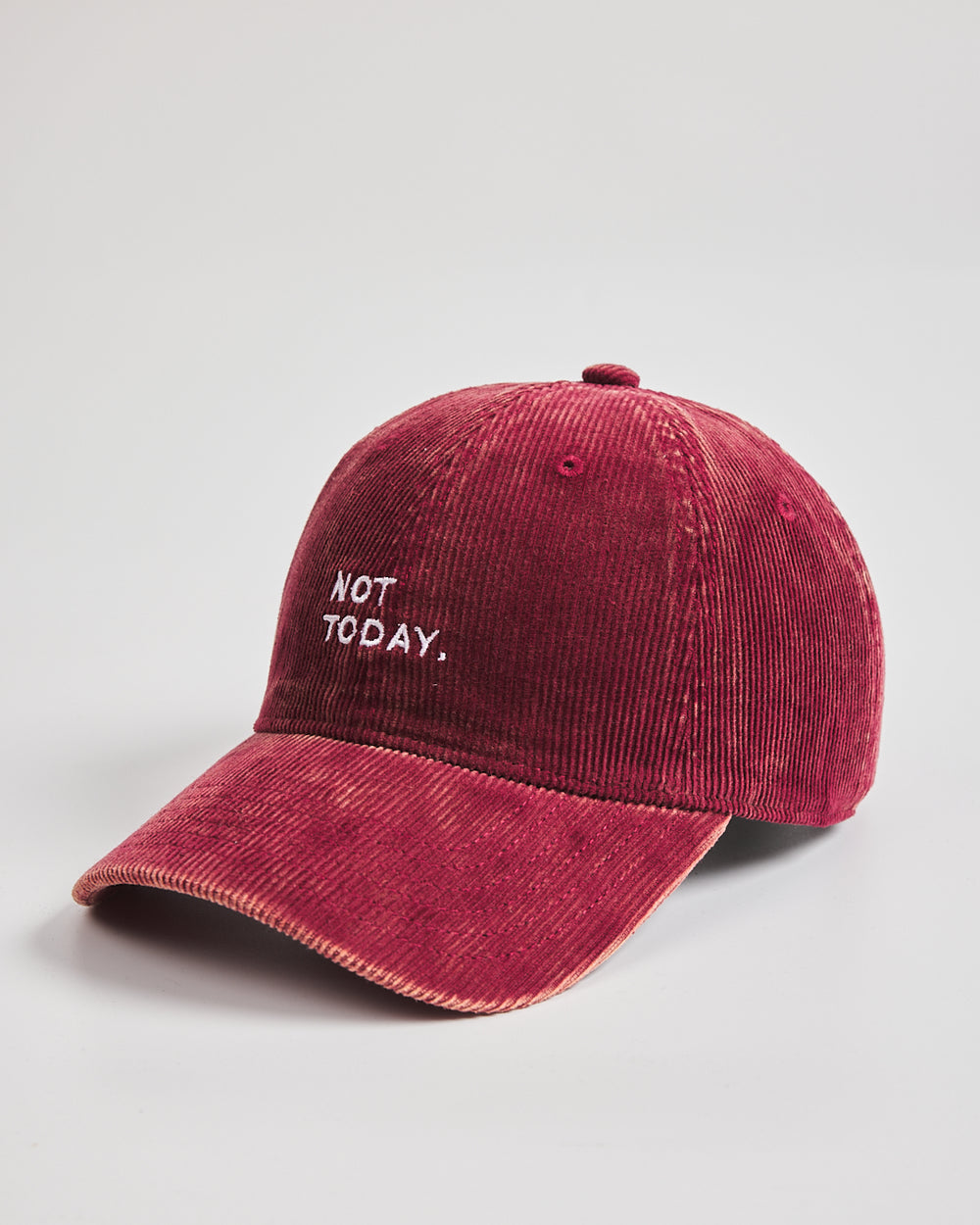 Red cap with 'Not Today' text on a light gray background