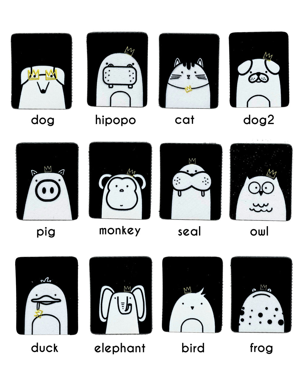 Illustrations of various animals with labels below each illustration on a black background.