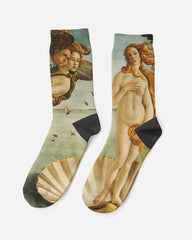 Birth of Venus, 1485, Socks