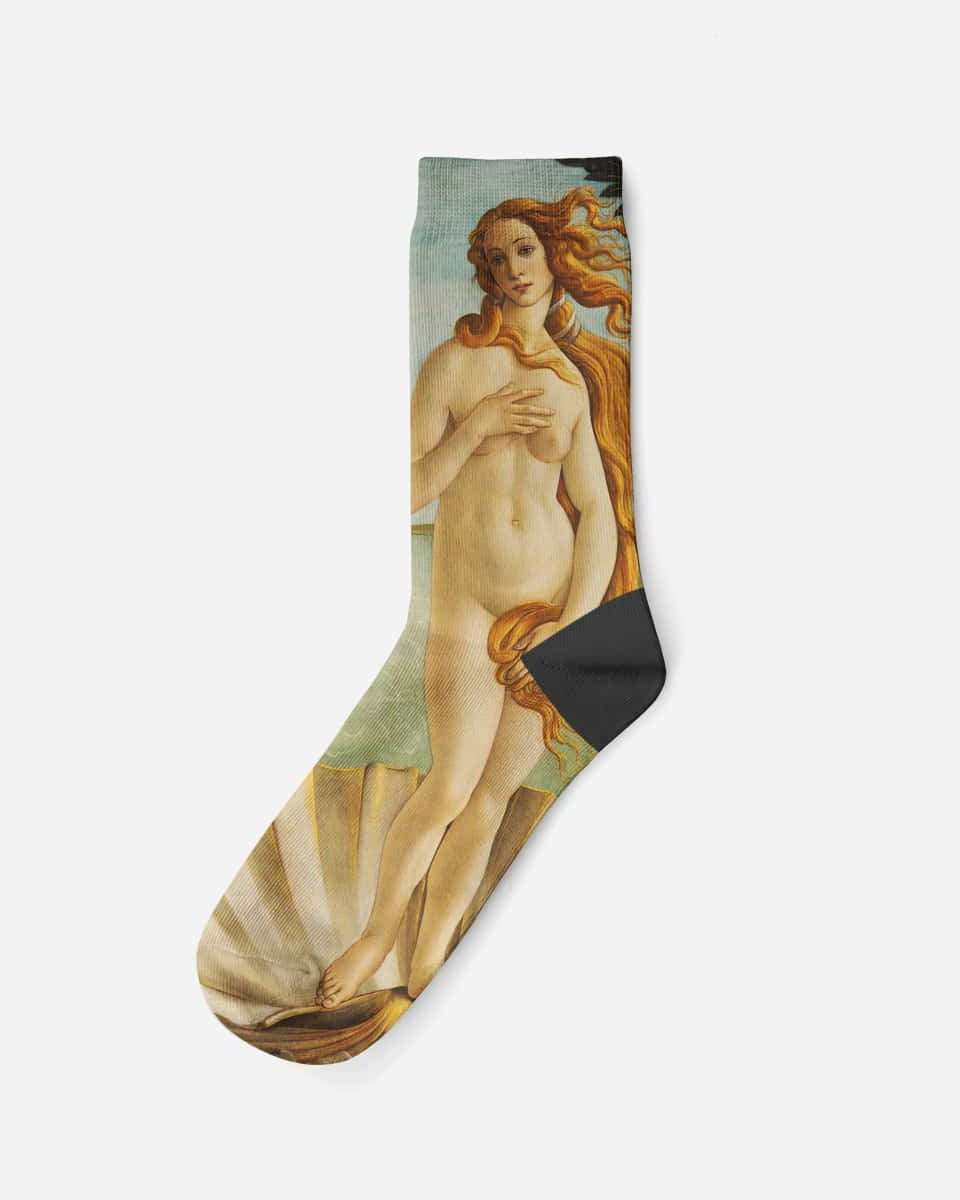 Birth of Venus, 1485, Socks